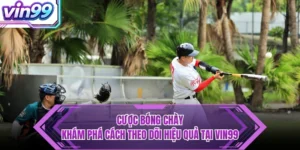 Cược Bóng Chày - Khám Phá Cách Theo Dõi Hiệu Quả Tại VIN99