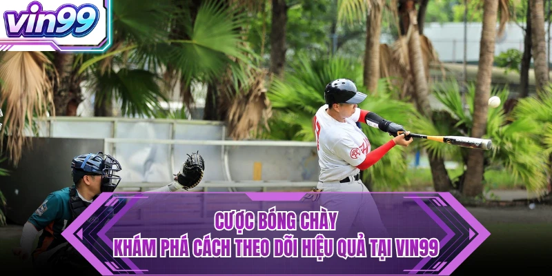 Cược Bóng Chày - Khám Phá Cách Theo Dõi Hiệu Quả Tại VIN99